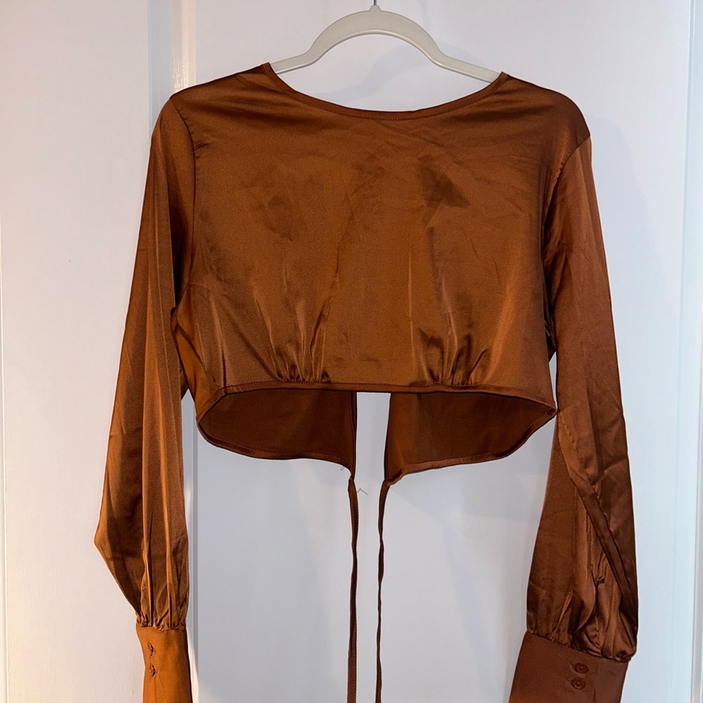 Silk/satin crop long sleeve top